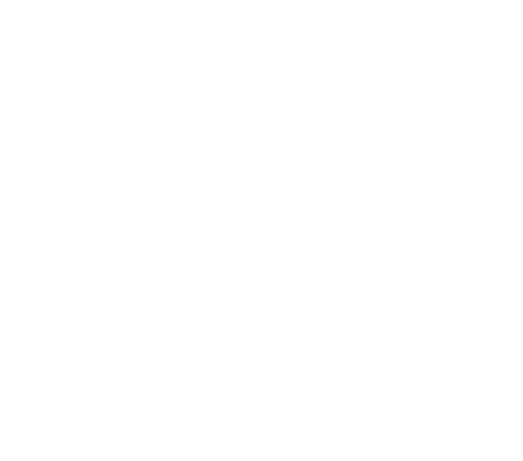 Aesthetic Envy Logo